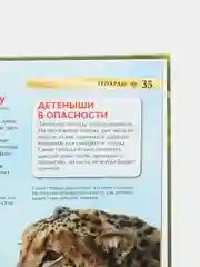 Индиго детская энциклопедия