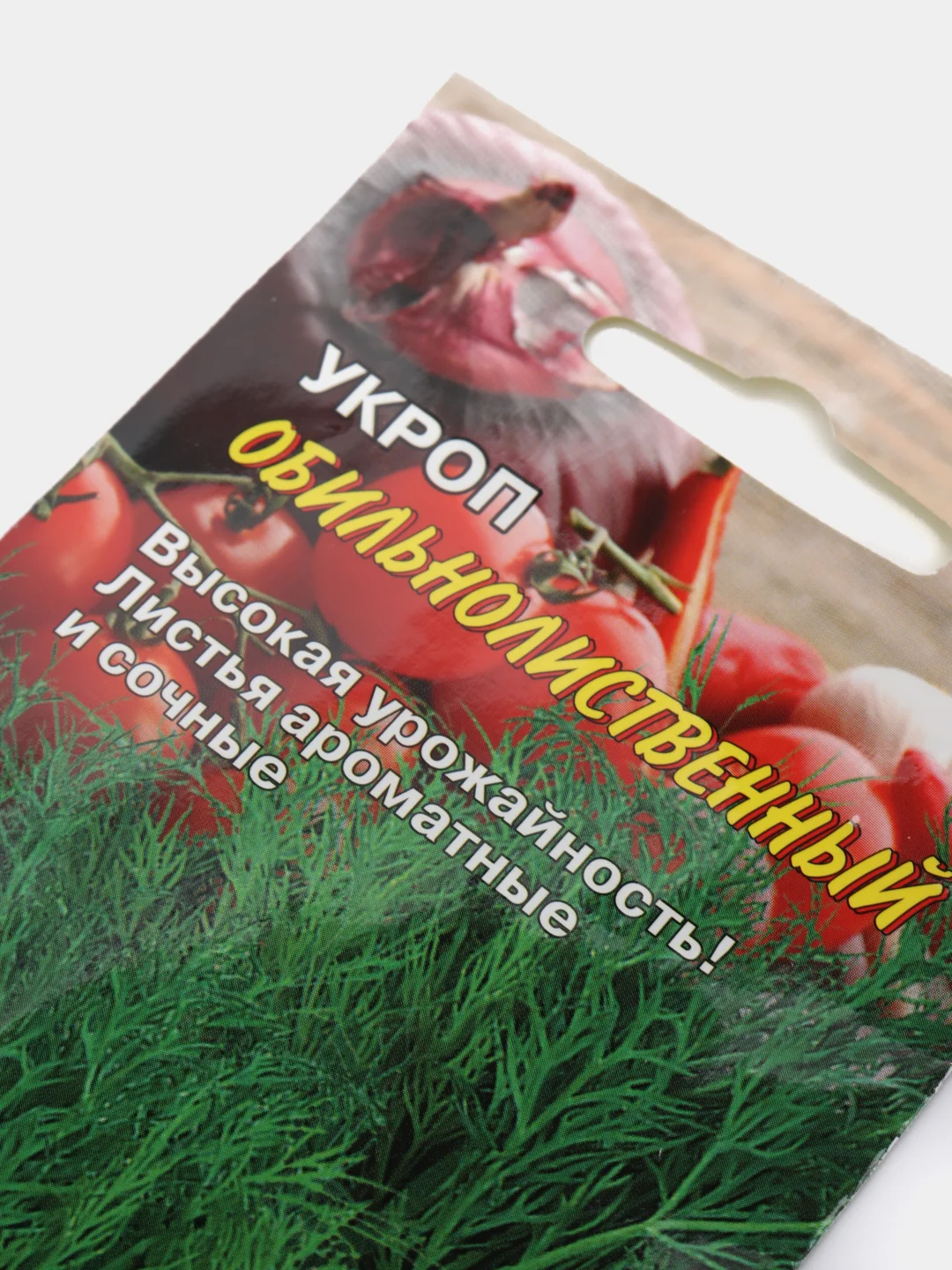 Зеленый семена Укроп
