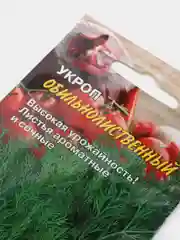 Зеленый семена Укроп
