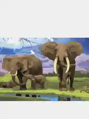 Угольный картина по номерам, А3