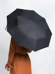 Зонт автоматический, унисекс