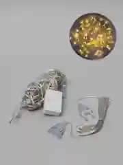 Фуксия гирлянда штора, сетка и другие + удлинитель