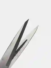Ножницы для стрижки овец