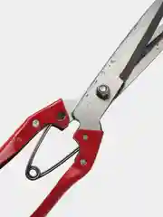 Ножницы для стрижки овец