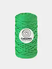 Салатовый шнур Caramel плоский, полиэфирный, 5 мм для вязания и макраме часть 2