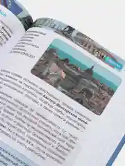 Зеленый детская энциклопедия