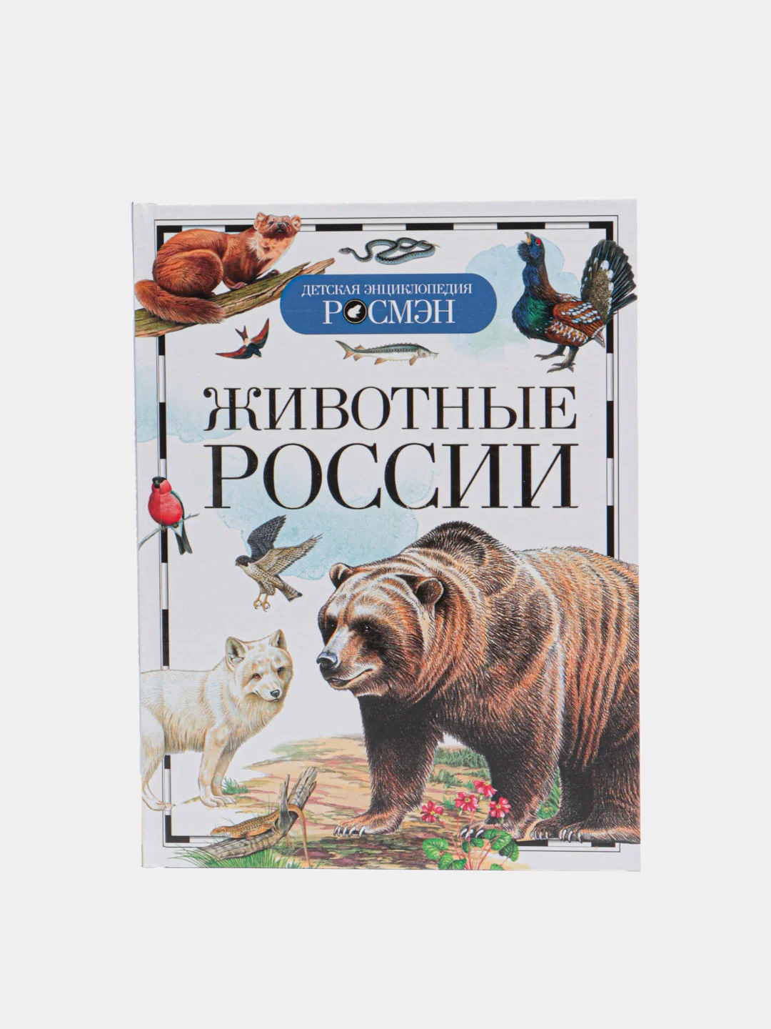 Белый детская энциклопедия