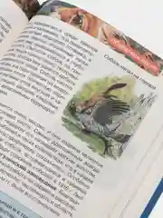 Белый детская энциклопедия