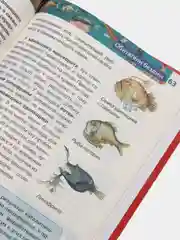 Оранжевый детская энциклопедия