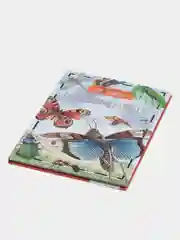 Прозрачный детская энциклопедия