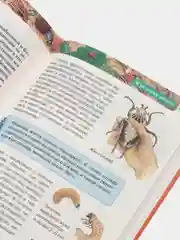 Прозрачный детская энциклопедия
