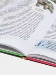 Фиолетовый детская энциклопедия