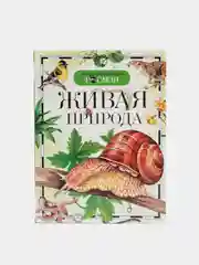 Серый детская энциклопедия