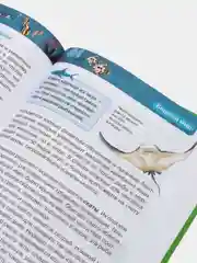 Серый детская энциклопедия