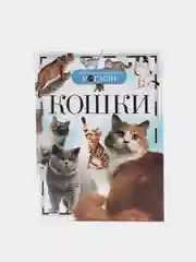 Желтый детская энциклопедия