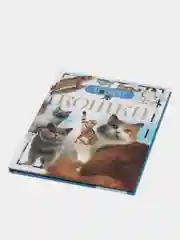 Желтый детская энциклопедия
