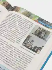 Желтый детская энциклопедия