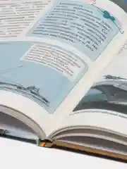 Коричневый детская энциклопедия