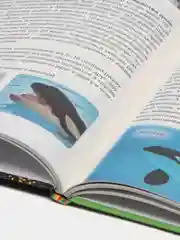 Синий детская энциклопедия