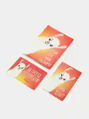 Коралловый обложка на паспорт, чехлы для карт и проездного билета