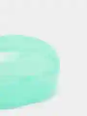 Бирюзовый контейнер для сосок