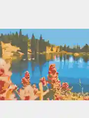 Картина  по номерам на холсте с подрамником 50x40 "Лесной пруд"