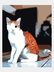 Картина по номерам "Зоркий котик", на холсте, с подрамником, 50 x 40