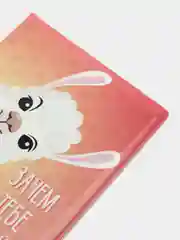 Коралловый обложка на паспорт