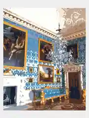 Картина  по номерам на холсте с подрамником 50x40 "Голубая комната"