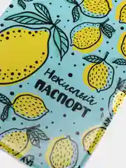 Светло-синий обложка на паспорт