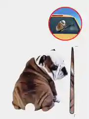 Наклейка с собачьим хвостом на дворник