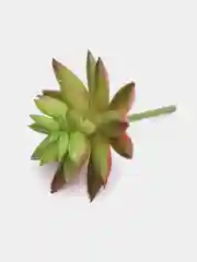 Зеленый суккулент искусственный, кактус