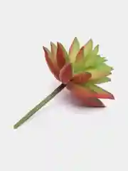 Зеленый суккулент искусственный, кактус