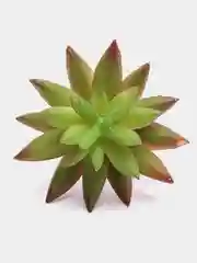 Зеленый суккулент искусственный, кактус