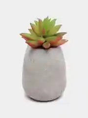Зеленый суккулент искусственный, кактус