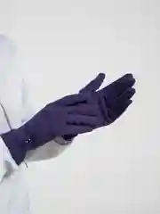 Синий перчатки сенсорные, теплые