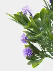 Лавандовый искусственные цветы мордовник