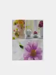Черный фотоальбом на 100 фотографий, 10*15 см