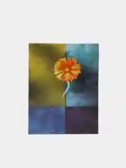 Фиолетовый фотоальбом на 100 фотографий, 10*15 см