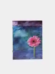 Шоколадный фотоальбом на 100 фотографий, 10*15 см