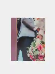 Вишнёвый фотоальбом на 200 фотографий, 10 х 15 см, разные виды