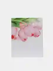 Хаки фотоальбом на 200 фотографий, 10 х 15 см, разные виды