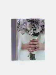 Багровый фотоальбом на 200 фотографий, 10 х 15 см, разные виды