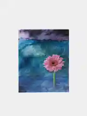 Конфетный фотоальбом на 200 фотографий, 10 х 15 см, разные виды