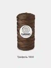 Шоколадный шнур Caramel плоский, полиэфирный, 5 мм для вязания и макраме часть 2