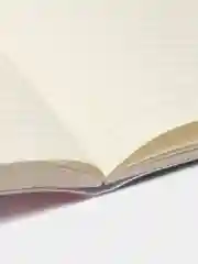 Розовый тетрадь "Милый во франксе", в линейку, 18+