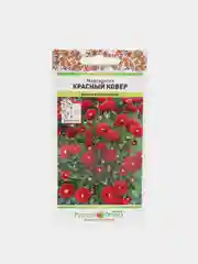 Маргаритка Красный ковер (семена,цветы)