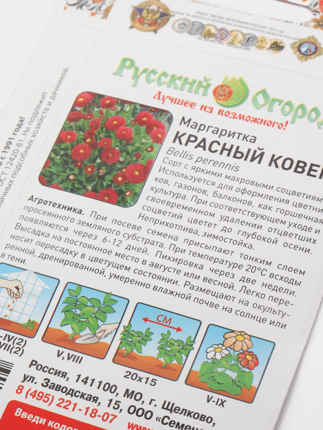 Маргаритка Красный ковер (семена,цветы)