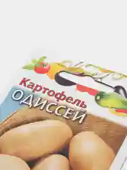 Семена Картофель "Одиссей"