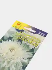 Семена , Хризантема многолетняя "Махровая", Цветущий сад